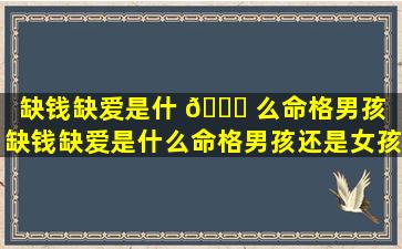 缺钱缺爱是什 🐕 么命格男孩（缺钱缺爱是什么命格男孩还是女孩）